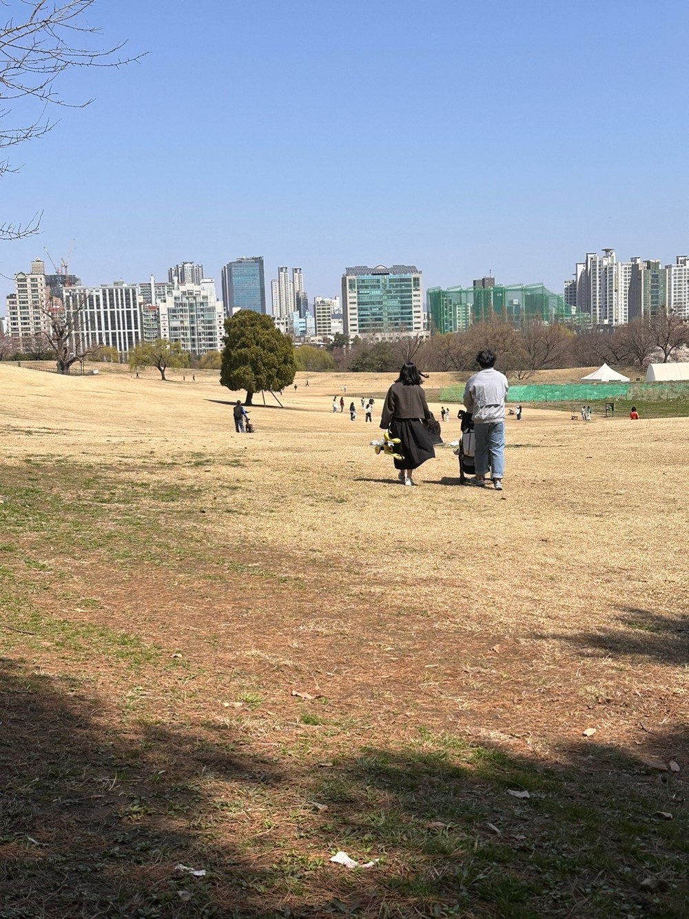 전도