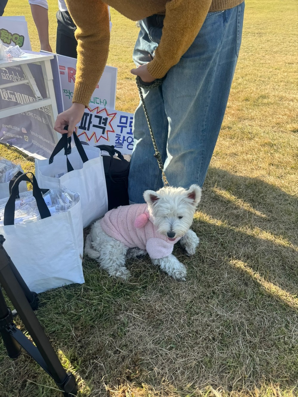 전도